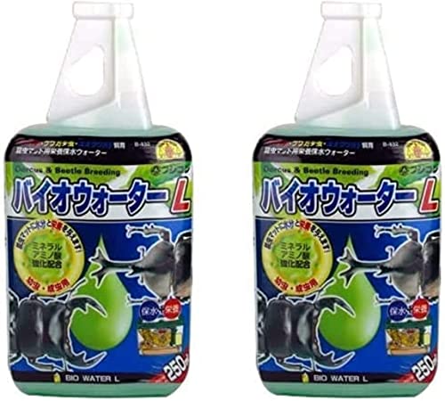 楽天市場】カブトムシ 保水 乾燥防止 フジコン バイオ昆虫保水