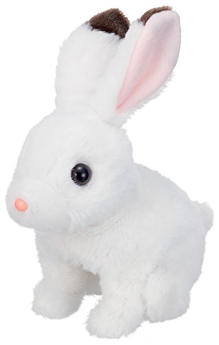 うえすたんこうさぎ うえすたんこうさぎ