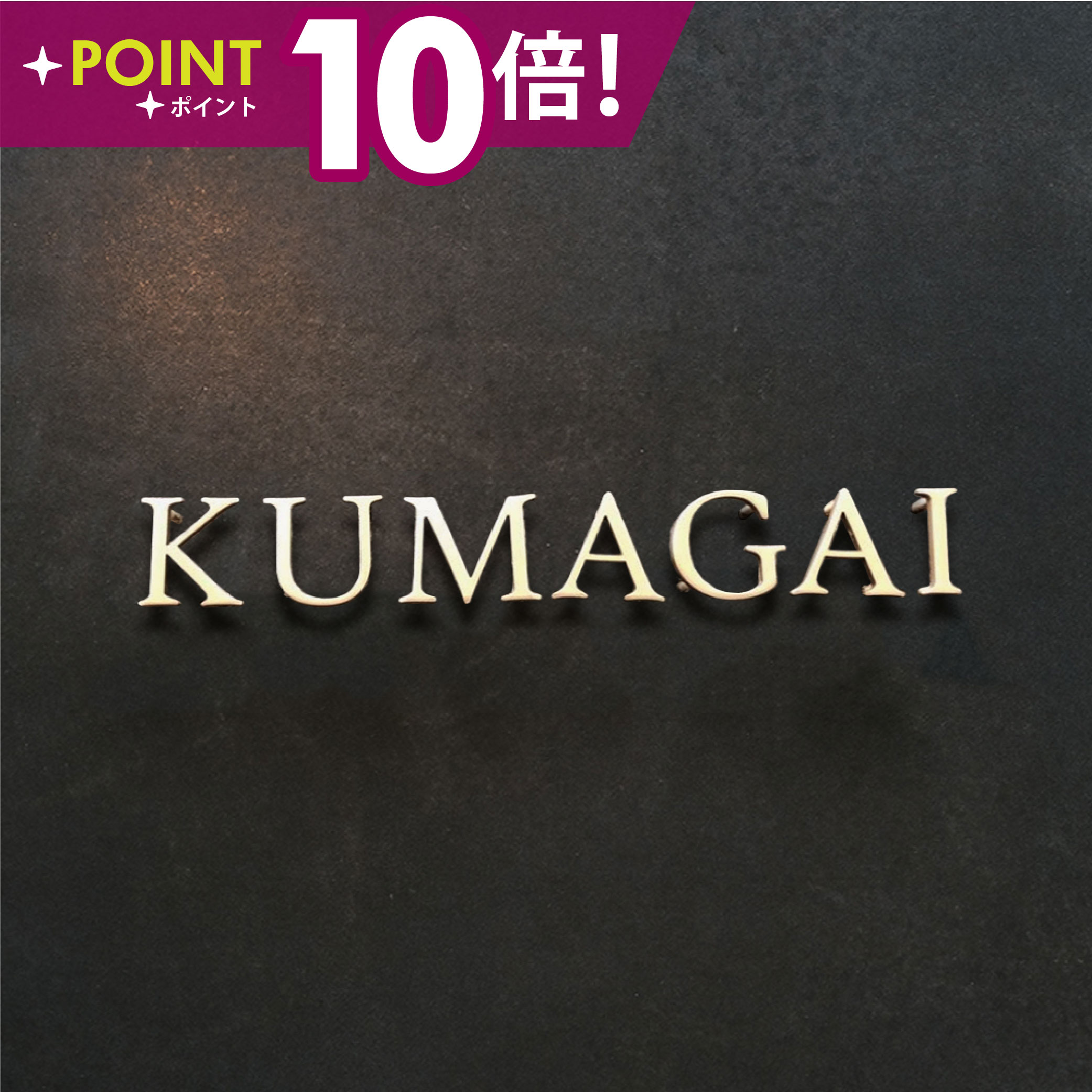＼先着順20名様20%OFFクーポンあり／【必要な文字数でご注文してください】日本製 表札 ステンレス【スタイリッシュな6色 ローマ字 切り文字 バラ文字】特注 サイズ 自由 オーダーメイド 番地 住所 二世帯 戸建 門柱 機能門柱 おしゃれ ネームプレート サイズオーダー