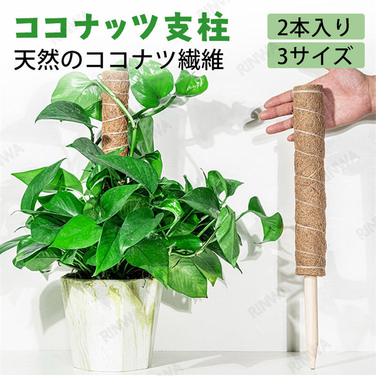 植物支柱 園芸支柱 2本セット 支柱 ココナッツ支柱 園芸 鉢植え モンステラ 観葉支柱 観葉 つる性植物 天然ココナッツ ココスティック 30cm 40cm 50cm 連結 延長 木製 フラワースタンド ガーデニング用支柱 誘引 高さ調整可能 植物サポート 送料無料 22春夏新色