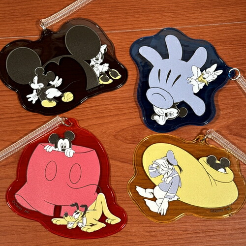 ディズニー パルパルーザ ドナルド　ぬいぐるみバッジ　カードホルダー　定期入 ドナルド パルパルーザ ぬいぐるみバッジ ディズニーランド 即