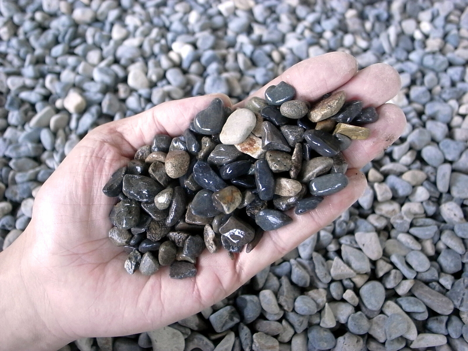 国産 新宮砂利 2mm 30mmまで ガーデニング化粧砂利 5サイズ 1kg袋 庭 ガーデニング