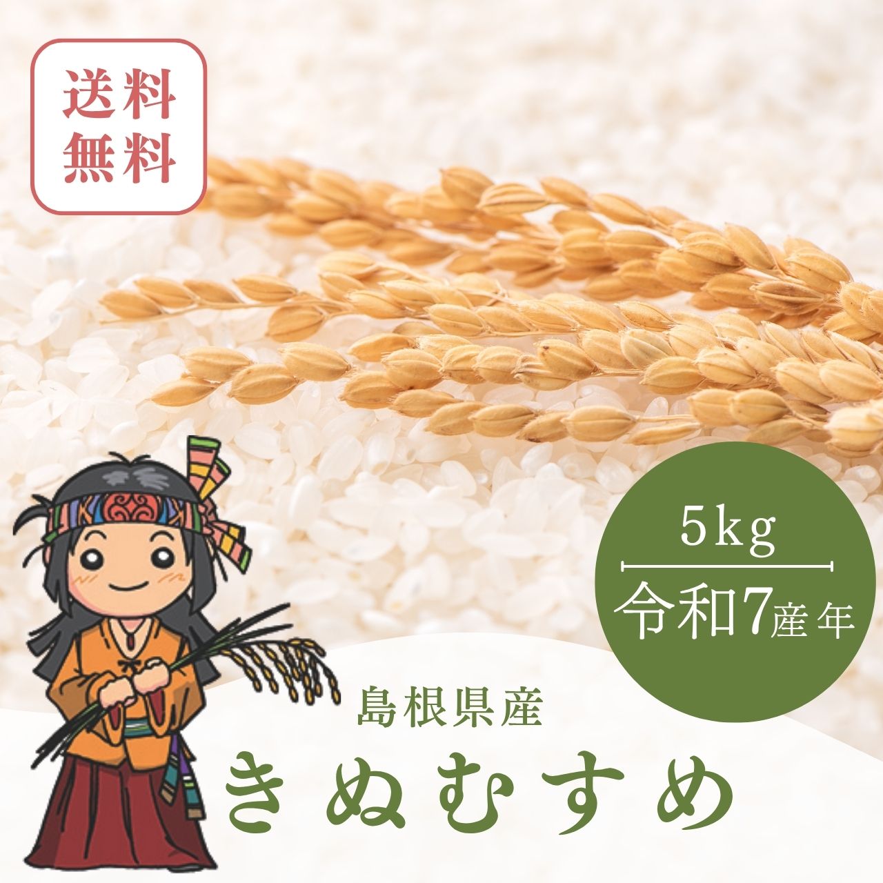 令和7年産 島根県産 きぬむすめ 5kg 精米 白米 ツヤと甘みのある色白美人米 コシヒカリ系 冷めても美味しい ご家庭用 ギフト用