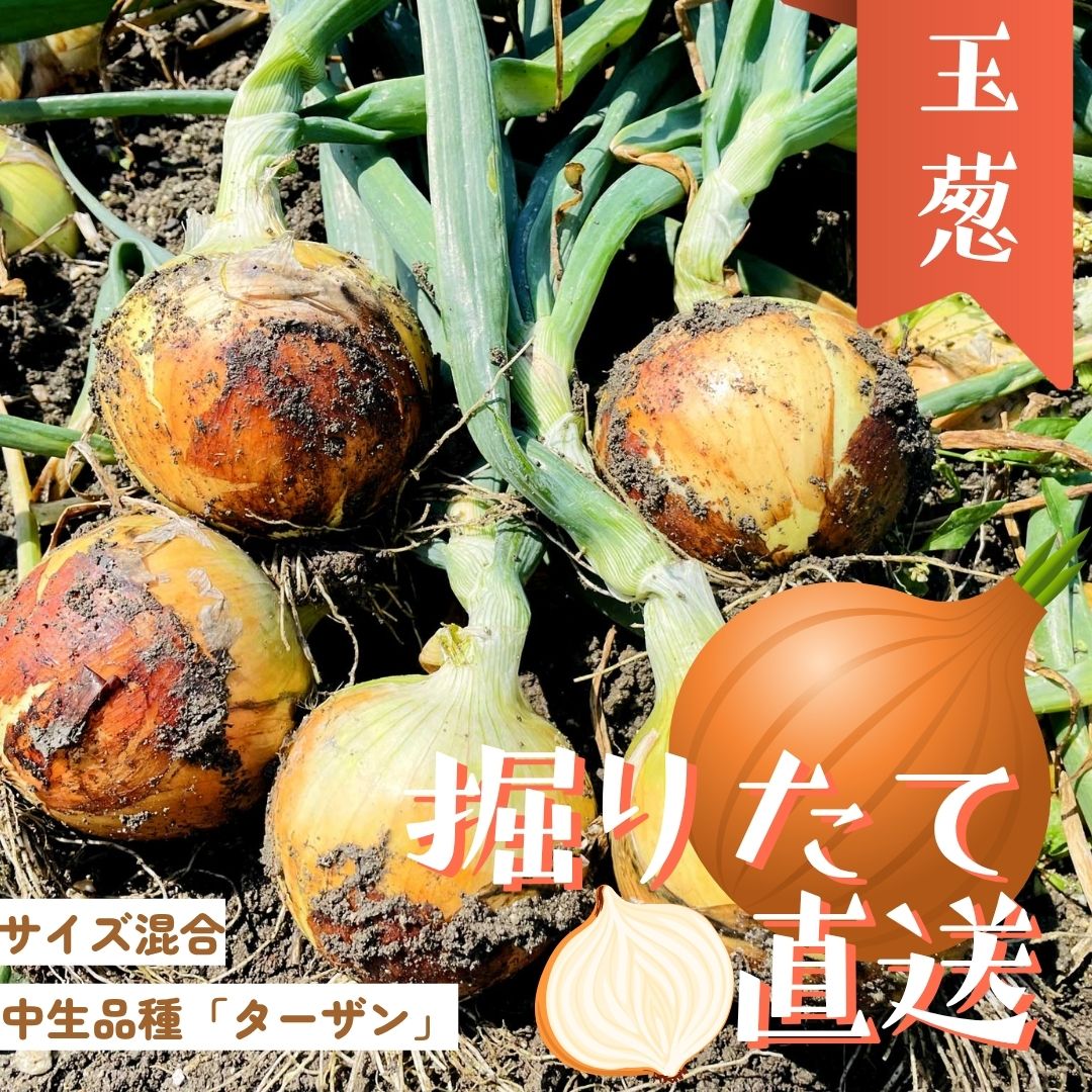 新入荷【送料無料】淡路島 ブランド玉ねぎ ターザン 2kg / 5kg / 10kg/20kg/　たまねぎ　セット｜高糖度で甘い！画像
