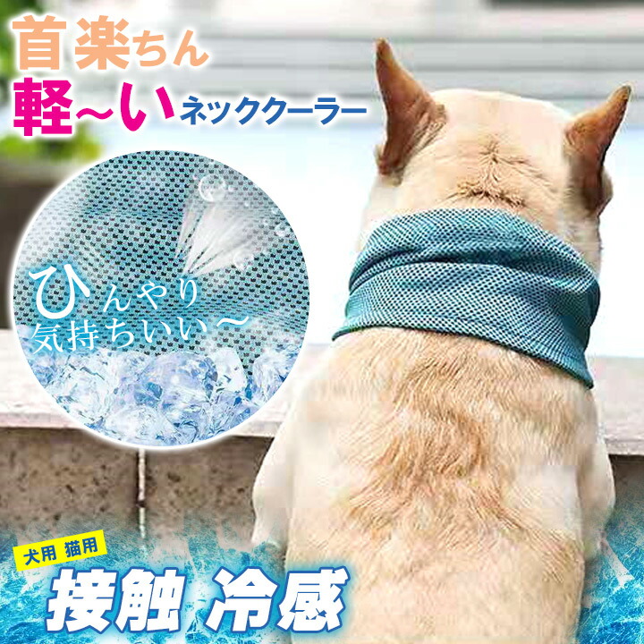ネッククーラー ペットグッズ クールバンダナ 軽量 薄手 保冷タイプ ひんやり 熱中症対策 お出かけ お散歩グッズ 毎週更新