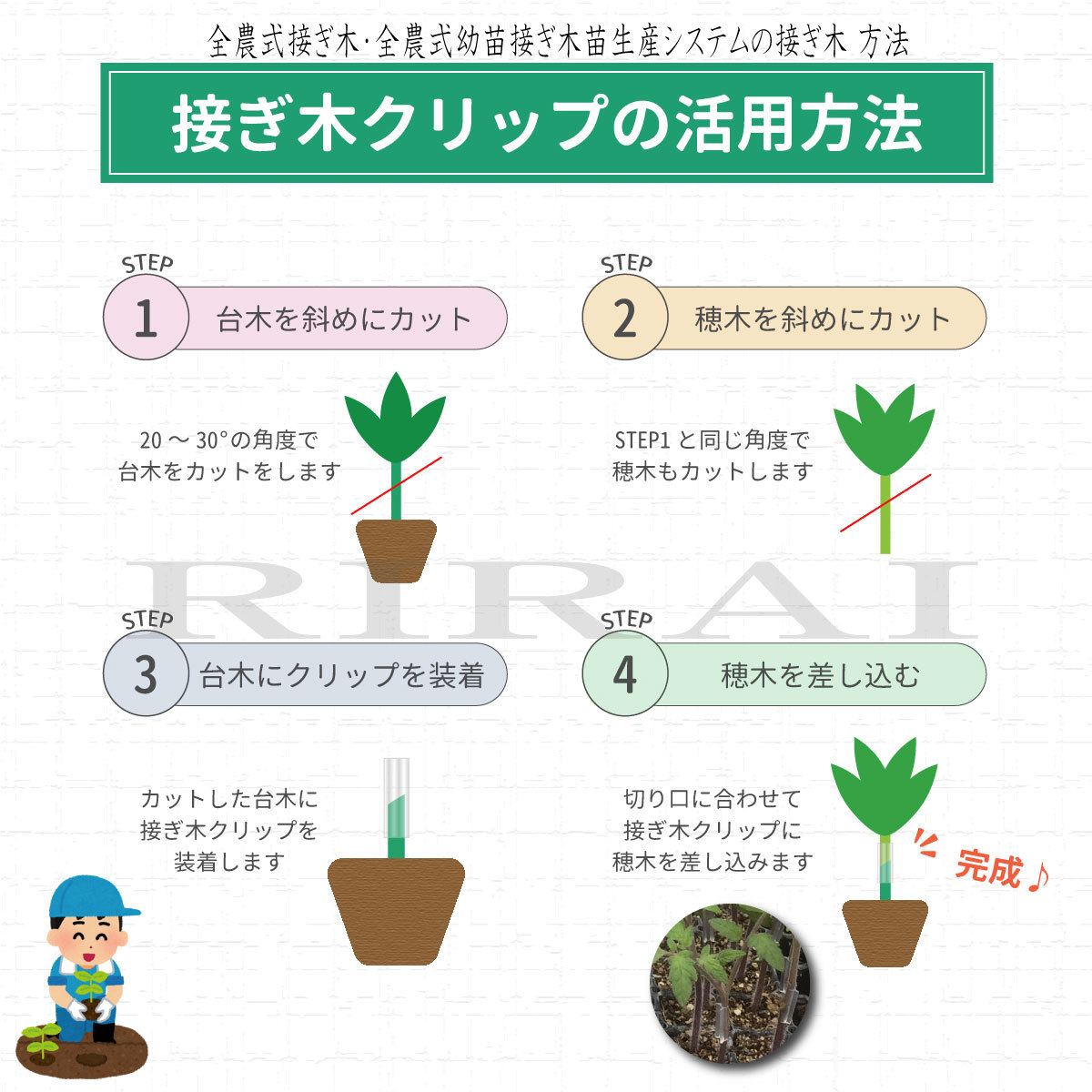 市場 接ぎ木クリップ 接木 対応内径1 8 2 1mm 内径1 8mm 1 9mm 1 8mm 接ぎ木 ナス科 苗 幼苗 100個入