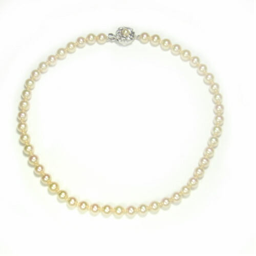 楽天市場】マジョリカパール ローズクリーム玉グラデーション