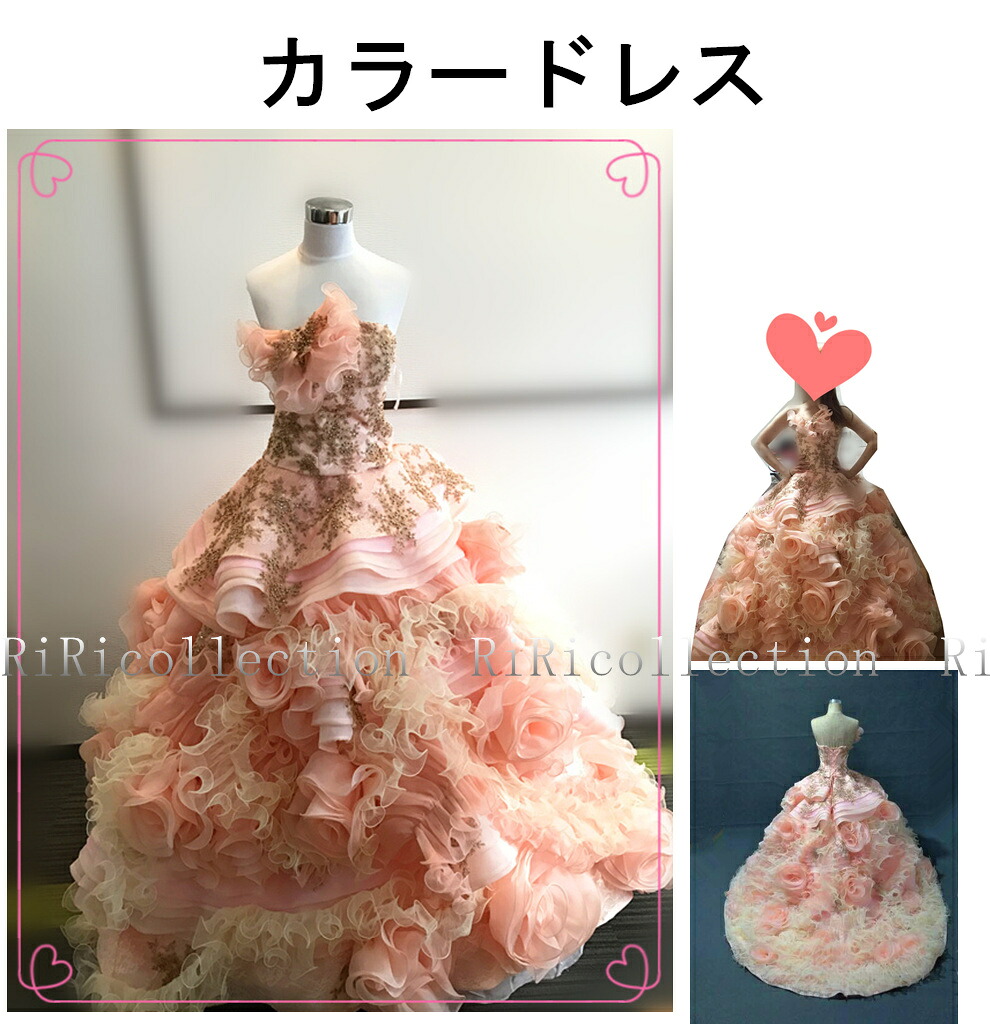 展示未使用品 一点限り 手縫いドレス オーダーメイド可能♪ ウェディングドレス 花 カラードレス ドレス オーダードレス 結婚式 披露宴 刺繍 プリンセスライン ビスチェウエディングドレス マタニティウエディングドレス お嫁さん 花嫁♪DOERS-SP1｜RiRiコレクション 55,000円