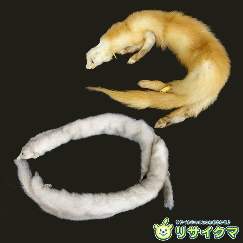 【中古】M▽実際的毛皮 什? 襟一巻き 獣の皮 消音装置 膝掛け 和装 御召しもの 毛皮消音装置 ■貨物輸送無料客体外・貨物輸送別途止むを得ず■ (37858)