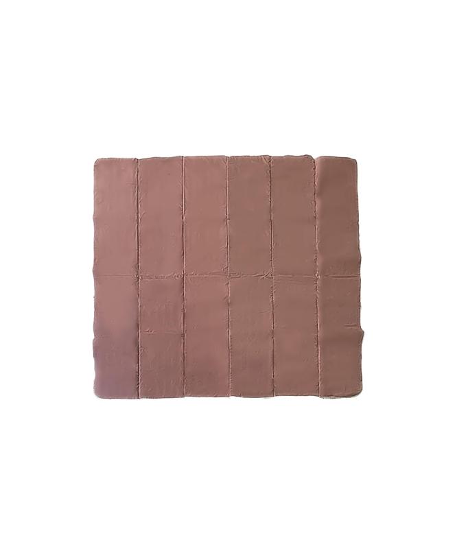 S'more(スモア) カーサイドテント テント キャンプ 2～4名 ４人用 エターナ Etana
