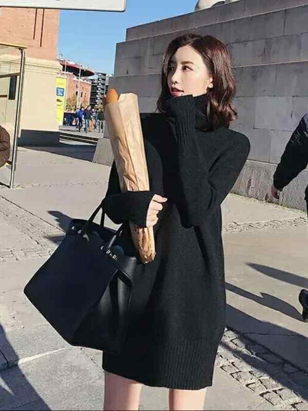 レディース ニット インナー トップス ゆったり ハイネック 長袖 保暖 中長丈 無地 秋冬 普段使い 伸縮性 軽量 ベーシックカラーx2