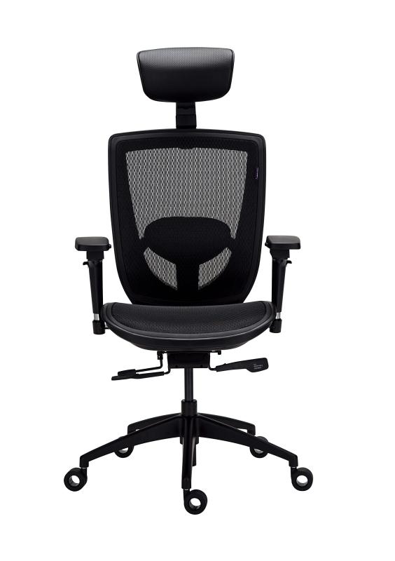 ALPHAEON E5 Hybrid Ergonomic Chair E3 メッシュ・多層変わり種なめし革境界線の外側製作 2Dヘッドレスト・ランバーサポート積み上げる 亜米利加 BIFMA判定基準公証手に入れる エルゴノミックチェア