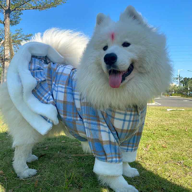 犬 服 御姉さん 大型犬 秋冬 衣装 お召しもの ドッグウェア 妃殿下風 読み合わせる柄 透かし彫り柄 虹霓 縞模様 羊毛 ツィード 朦々たる 二枚重ね 生あたたかい あったか 防寒 愛くるしげ 今めかしい おほっつき歩く お出かけ用 気が大きい大きさ