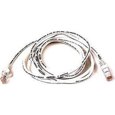 Belkin CAT 5e Horizontal UTP Bulk Cable 1000-Ft White Standard Connector｜RISO-SYA 27,450円