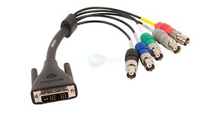 特価！新品！【税込！貨物輸送込！】Polycom 管する用有線テレビ DVI(M) to 5-BNC(F) : 2457-23533-001