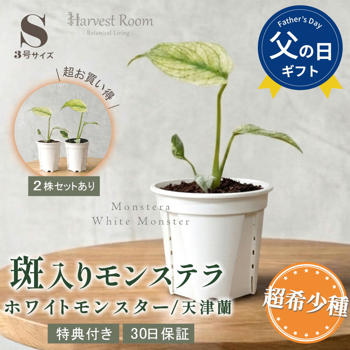 文芸批評差し上げ物