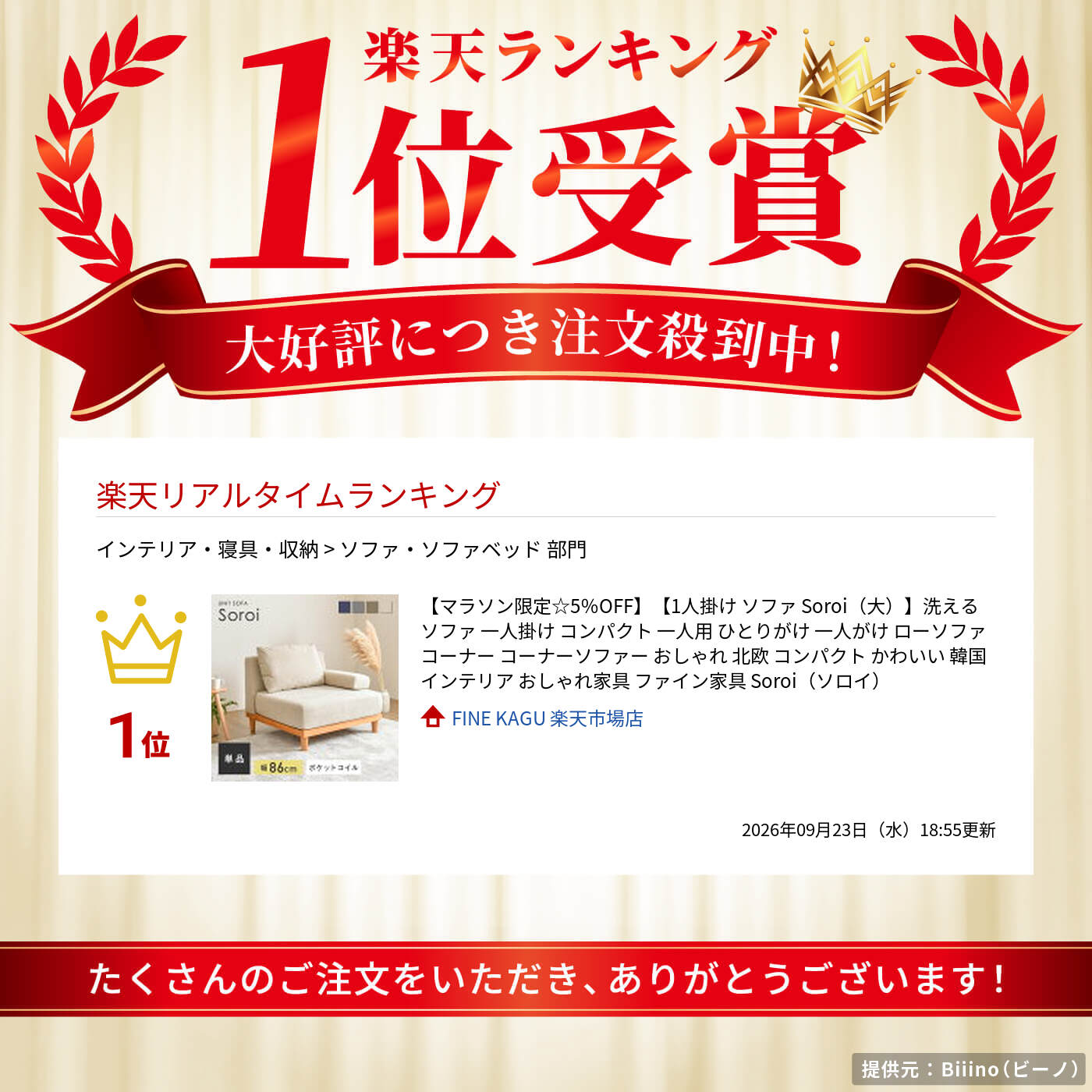 大人気商品】【1人掛け ソファ Soroi（大）】洗える ソファ 一人掛け 