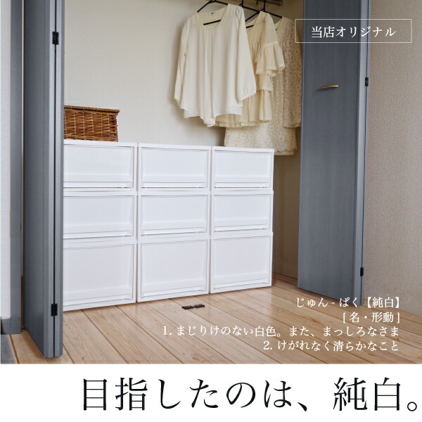 収納ケース Edel エーデル L 2段セット 収納ボックス 収納box おしゃれ プラスチックケース 衣類収納 押入れ クローゼット モノトーン 白 ホワイト シンプル 透けない 不透明 リス