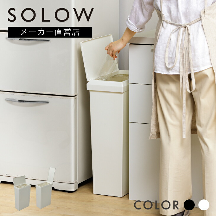 solow_06_01.jpg