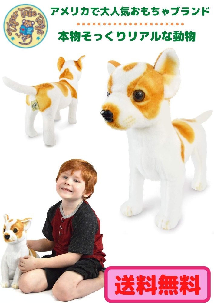 楽天市場 タイガーテールトイズ チワワ 犬 ぬいぐるみ リアル 43センチ ペット 大きい ドック Dog いぬ イヌ 本物 そっくり リアル ペット おもちゃ 子供 女の子 男の子 日本正規品 Rita Market