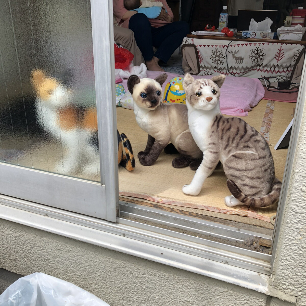 楽天市場 猫 ぬいぐるみ リアル シャムネコ アメリカンショートヘア 三毛猫 黒猫 35センチ ペット シャム猫 アメショ ミケネコ クロネコ ねこ 本物 そっくり ギフト プレゼント 子供 女の子 男の子 癒し かわいい クリスマス 日本正規品 Rita Market