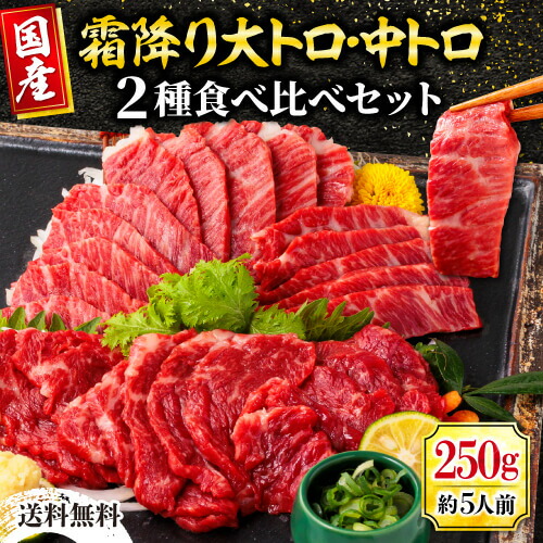 馬刺し 国産 馬肉 熊本 霜降り 肉 セット 大トロ 中トロ 馬刺 刺身 大容量 食品 ギフト お祝い 贈り物 高級 内祝い プレゼント 贈答品 ばさし 国産馬刺し 熊本馬刺し 九州 グルメ おつまみ お取り寄せグルメ 父の日 おつまみセット 父の日ギフト 肉 食べ物 お父さん