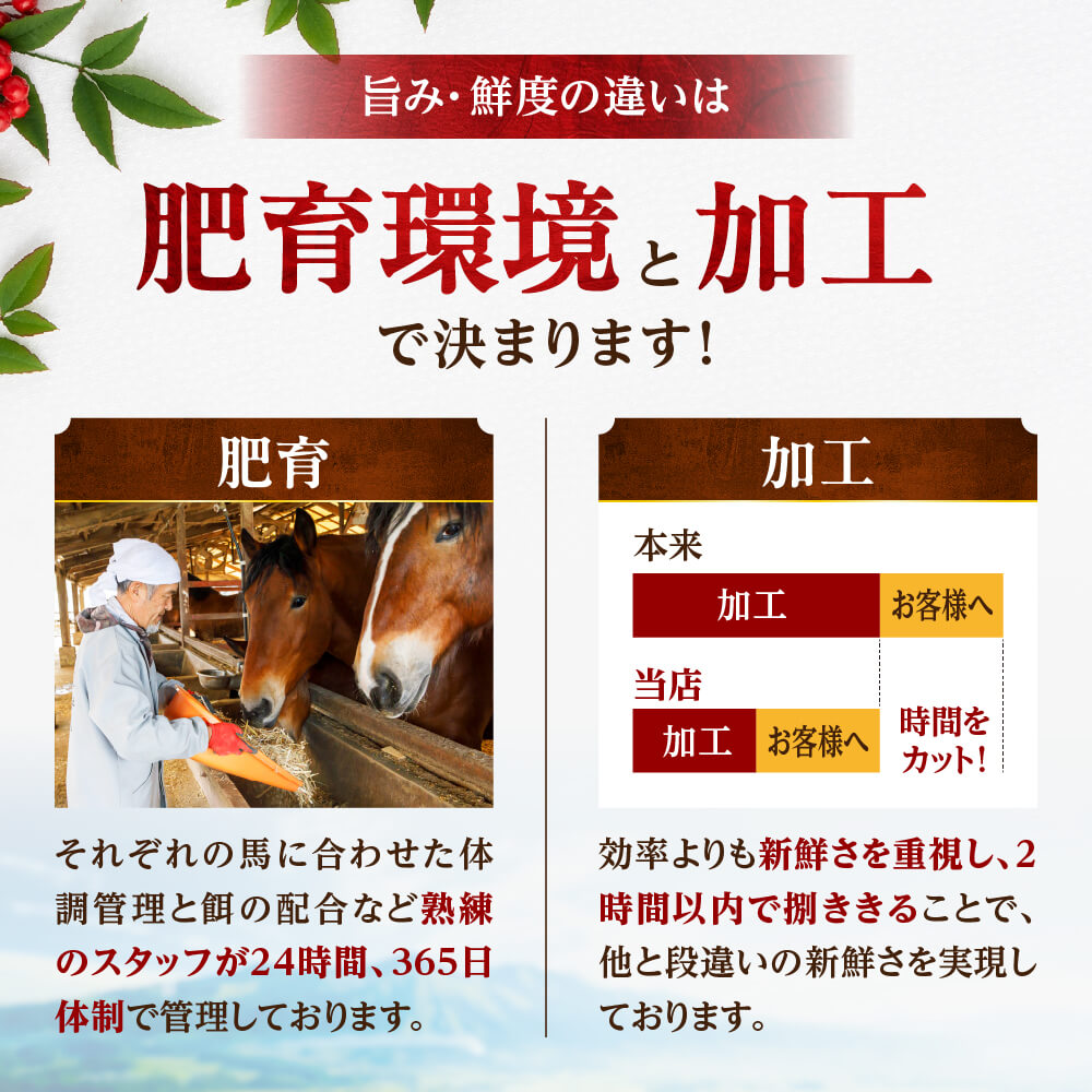 うさ子さん専用。セット売り 敬老の日】馬刺し 国産 ばさし 熊本 国産馬刺し 馬肉 熊本馬刺し