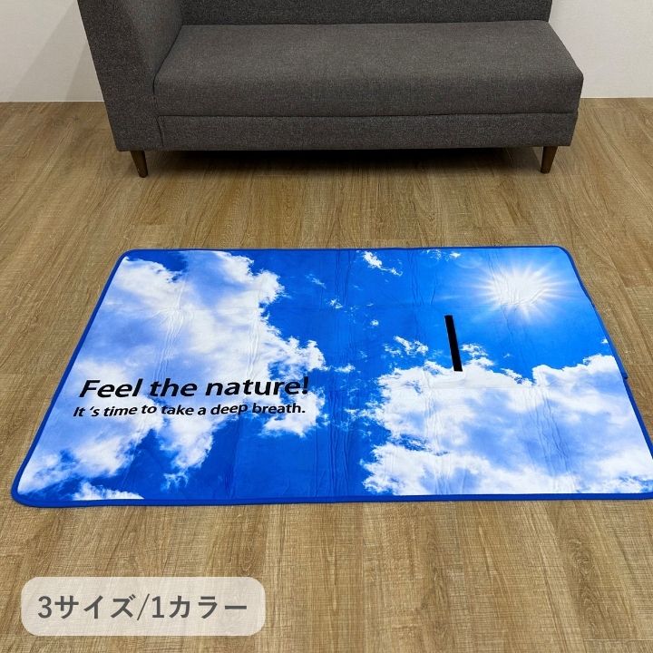 床材 引っ敷き 引っ敷き 青み天の原 140×180糎