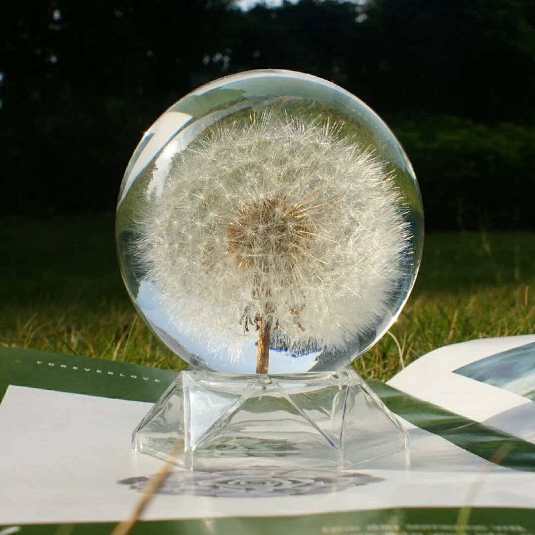 A034921永生花 たんぽぽ 装飾品 蒲公英テーブルフラワー飾り置物 ギフト｜リタハウス　店