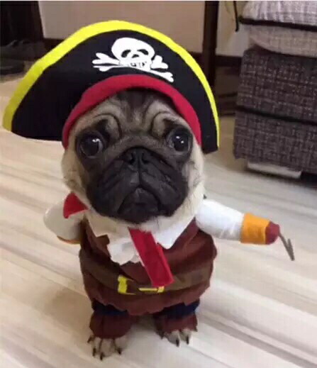 大人気可愛い犬服 ペット用品 犬服 スーパーマン コスプレ ハロウィン ベッド 服 最大66 Offクーポン