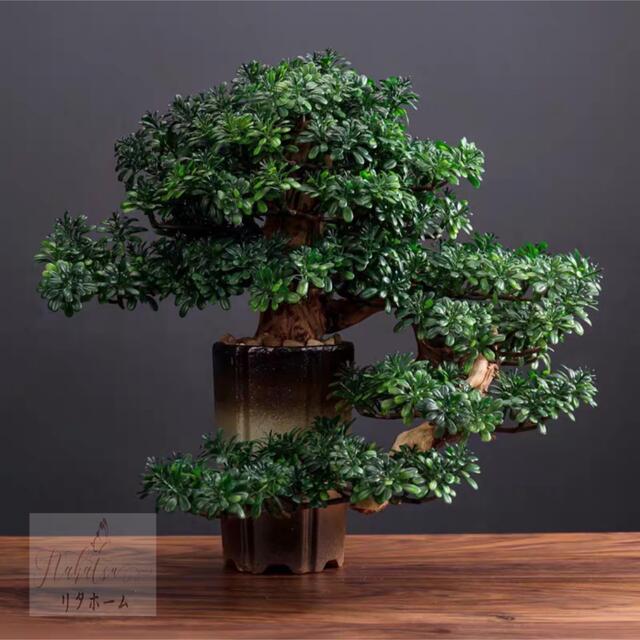 楽天市場】A041678インテリアグリーン 高級模造迎客松盆栽 置物 禅意迎