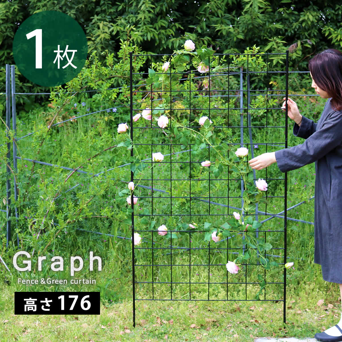 アイアンフェンス 高さ176 「グラフ」 1枚【送料無料 フェンス アイアン ガーデンフェンス ガーデニング 枠 柵 仕切り 目隠し 境目 クラシカル アンティーク 格子 ベランダ つる 薔薇 バラ 朝顔 園芸 ラティス つるバラ 庭誘引 屋外 】|リタハウス 店