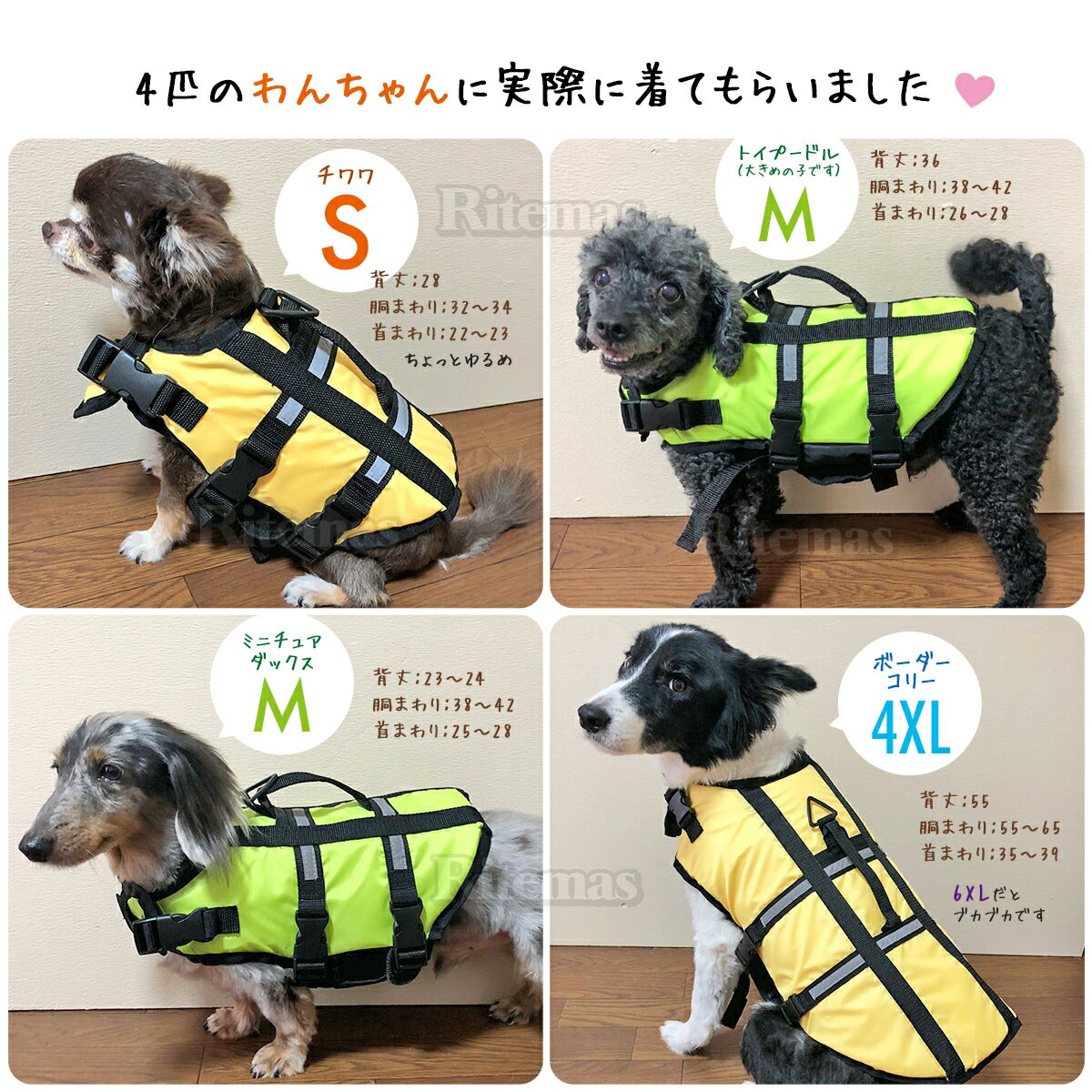 楽天最安値に挑戦 犬用ライフジャケット ライフベスト ライフジャケット 犬用 子犬 小型犬 ペット ペット用 海 川 海水浴 川遊び 5xlサイズ グリーン 緑 Lacistitis Es