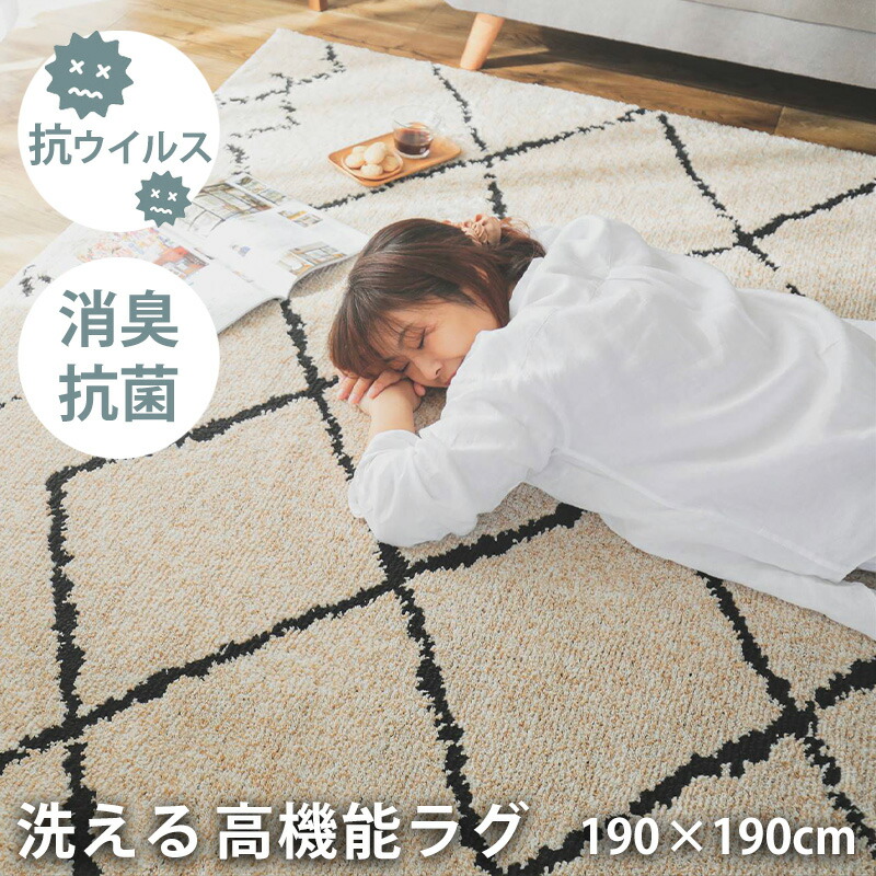 楽天市場】アンナ・エミリア 洗える羽毛肌掛ふとん2枚セット423049