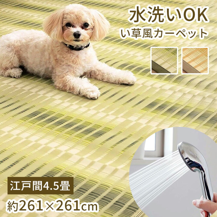 生活様式になじむ、分かりやすいイブル。