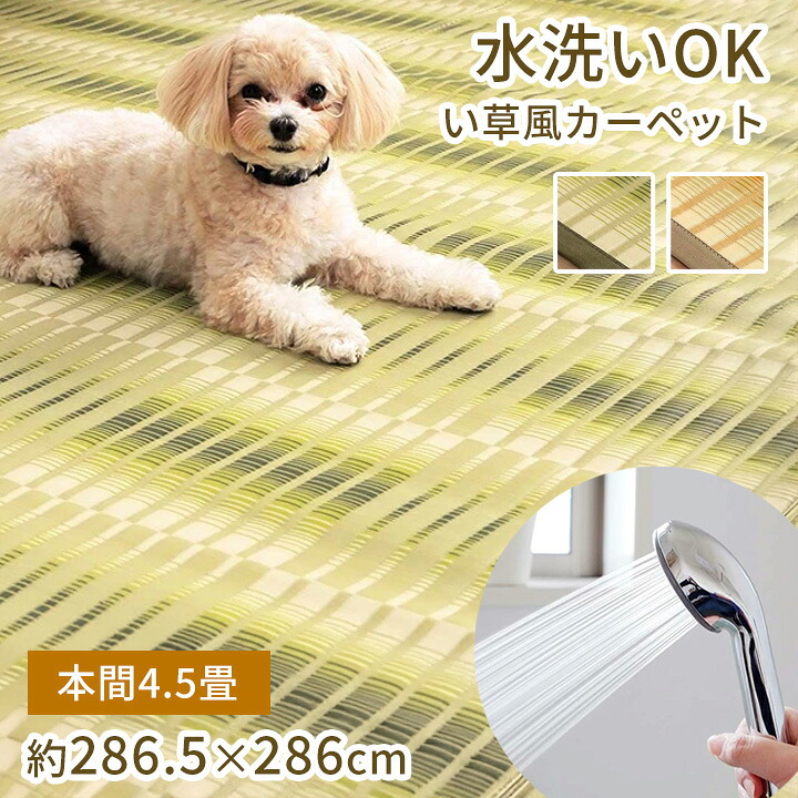 い草風カーペット 本間 4.5畳 約286.5×286cm [ い草風 ラグ ppラグ 畳 上敷き おしゃれ 洗える 撥水 和室 カーペット 畳上敷き ペット 保護敷き詰め 夏用カーペット ppカーペット pp 花ござ 畳の上に敷くカーペット 畳風カーペット 畳の上に敷くもの 畳の上に敷く マット|インテリアショップ リトマート