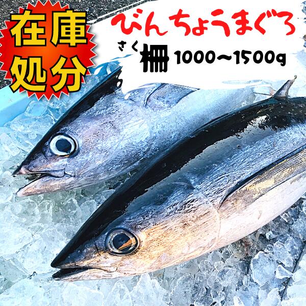 楽天市場 在庫処分 冷凍 天然ビンチョウマグロ ビンナガ トンボ ブロック ２個 １kg以上 三重県産 律丸 お刺身に 鮪 びんちょうまぐろ 律丸 りつまる