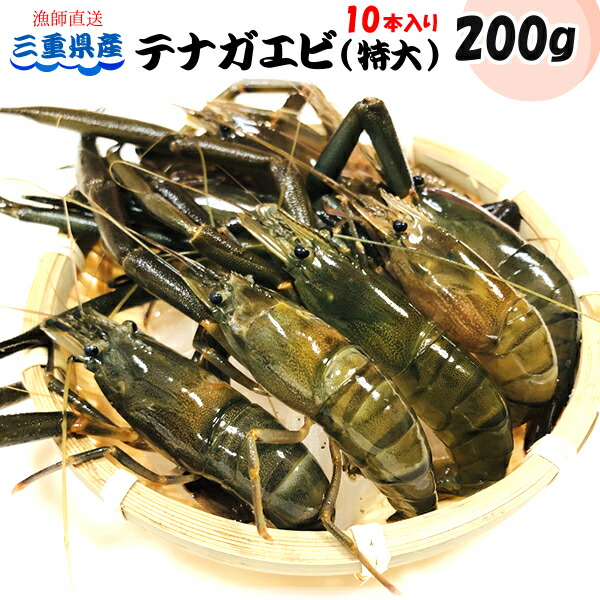 楽天市場 土日祝日も営業 特大テナガエビ 0g入り 冷凍 01 三重県産 漁師直送 律丸 手長エビ ヒラテテナガエビ 川エビ 律丸 りつまる