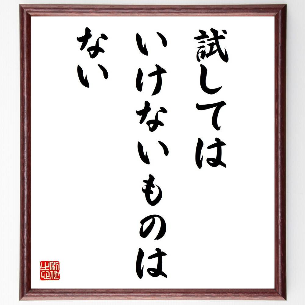 名言「試してはいけないものはない」手書き書道色紙額／受注後の毛筆直筆　（名言 飾る 額 人気 贈り物 ギフト 短い アニメ 有名 偉人 格言 座右の銘 プレゼント お祝い グッズ 短い 壁掛け 書道 手書き かっこいい 歴史 人物 インテリア 作品 ア～