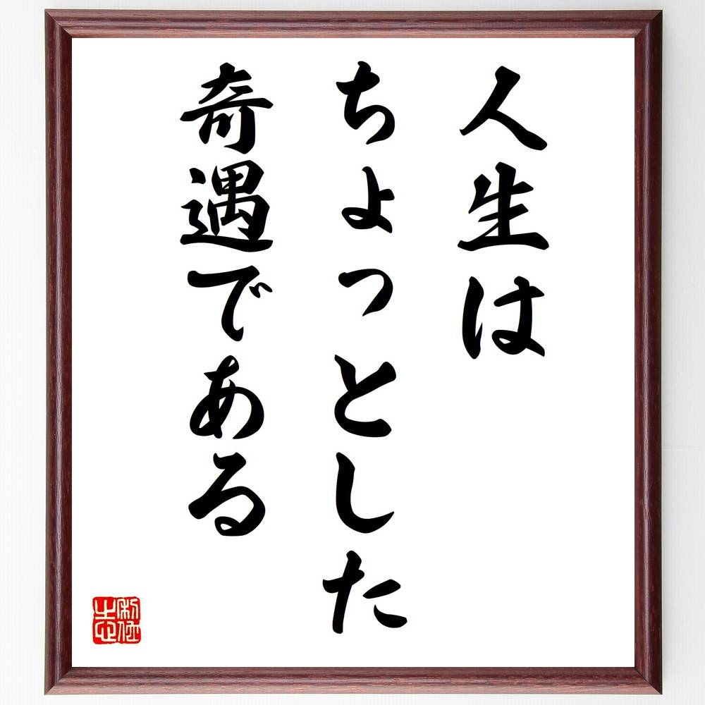 名言「人生はちょっとした奇遇である」手書き書道色紙額／受注後の毛筆直筆　（偶然 運命 出会い 人生の不思議 ｻﾌﾟﾗｲｽﾞ 奇跡 経験 ｽﾄｰﾘｰ 人生の旅 予測不可能 名言 格言 座右の銘 ﾌﾟﾚｾﾞﾝﾄ 贈り物 お祝い 偉人 ｸﾞｯｽﾞ 心に響く ～