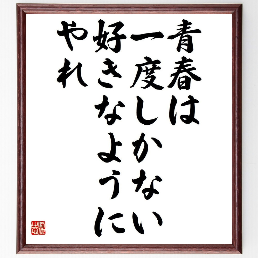 名言「青春は一度しかない、好きなようにやれ」手書き書道色紙額／受注後の毛筆直筆（青春 一度きり 自由 自己表現 挑戦 夢 人生 選択 冒険 成長 名言 格言 座右の銘 ﾌﾟﾚｾﾞﾝﾄ 贈り物 お祝い 偉人 ｸﾞｯｽﾞ 心に響く 短い ｱﾆﾒ 壁掛け ～