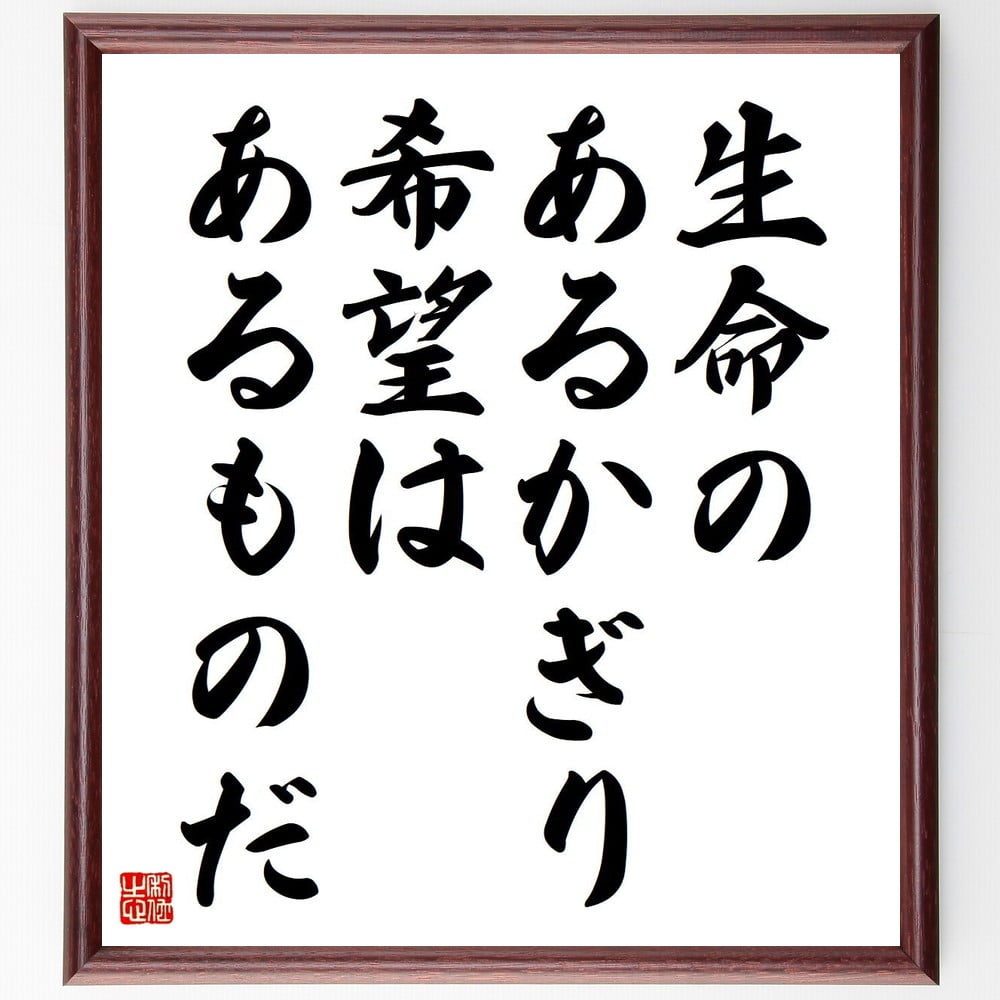 セルバンテスの名言「生命のあるかぎり、希望はあるものだ」手書き書道色紙額／受注後の毛筆直筆（希望 人生 ﾎﾟｼﾞﾃｨﾌﾞ思考 名言 ｾﾙﾊﾞﾝﾃｽ 逆境 生きる力 ﾓﾁﾍﾞｰｼｮﾝ 未来 自己啓発 ｾﾙﾊﾞﾝﾃｽ 名言 格言 座右の銘 ﾌﾟﾚｾﾞﾝﾄ～