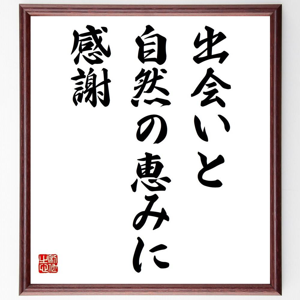 名言 出会いと自然の恵みに感謝 額付き書道色紙 贈り物 ﾌﾟﾚｾﾞﾝﾄ ｷﾞﾌﾄ 壁掛け 置物 座右の銘 格言 諺 人気 言葉 偉人 新作送料無料
