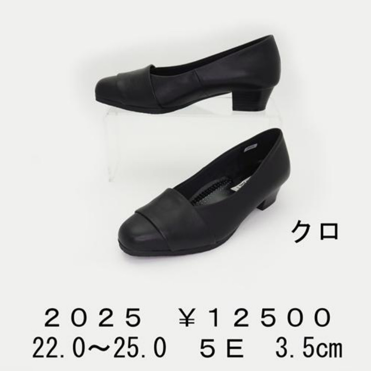 【FIZZ REEN フィズリーン 】幅広5Eワイズ　ローヒールパンプス 　2025　【クロ】【25FW】