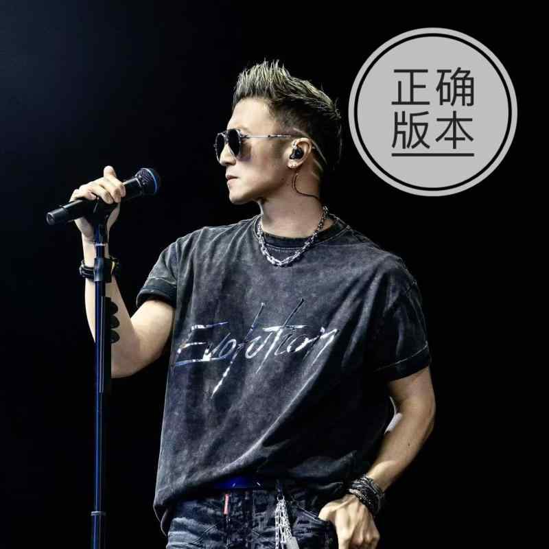 カッコイイ Tシャツ 2025 進化 コンサート ニコラス ツェー同 スタイル Tシャツ 半袖 春夏 男女 綿 古着