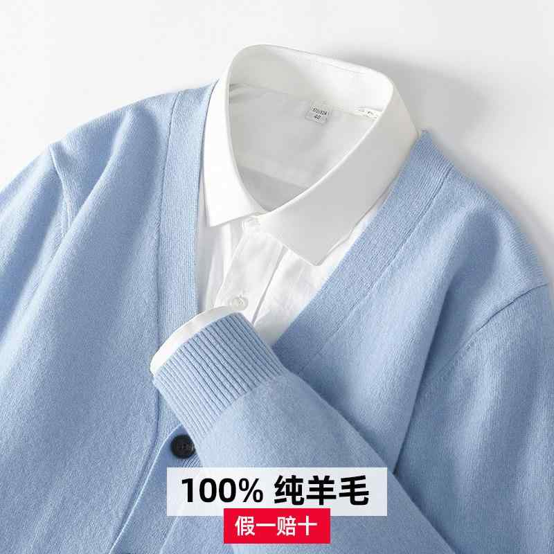 メンズ カーディガン Vネック 羊毛100% 単色 セーター ゆったり ニット トップス 春秋 ビッグサイズ カジュアル アウター 暖か 軽量 日常使い