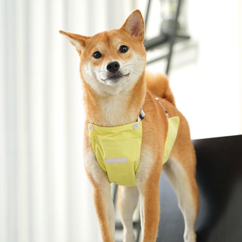 犬用腹巻き 中大型犬対応 着脱簡単 オールシーズン通年使用 外出散歩用 防水 防汚 汚れ防止 ベリープロテクター ペットグッズ