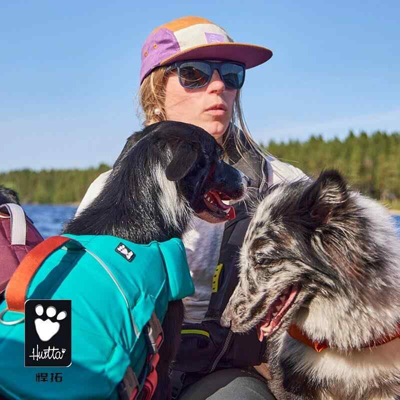 犬用 胴衣 乗り組み員表現スタイル 柴犬 コーギー 間借り人コリー ラブラドール 相応う スイムベスト 水中安全性のある 軽やかさ 軽さ 合わせる能力のある 愛玩動物用