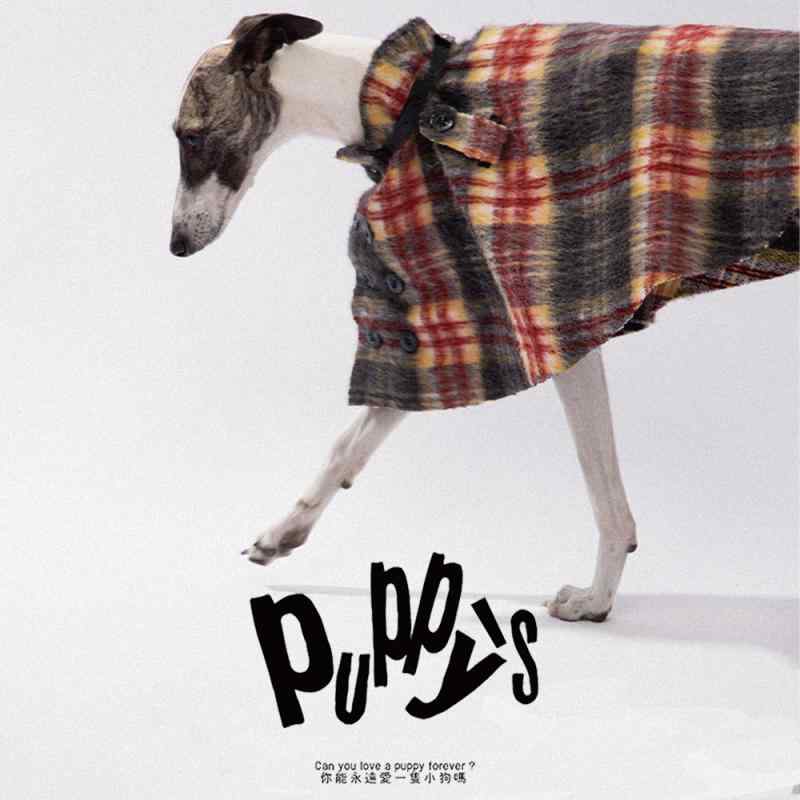 犬用 保暖 ケープ 小型犬 中型犬 シュナウツァー ヨークシャーテリア グレーハウンド ドーベルマン 間借り人コリー イングリッシュ 表現スタイル 秋冬 流行り物 情の籠もった 愛くるしい 今めかしい ほっつき歩く用 軽さ