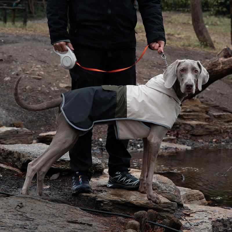 大型犬用 春夏 防水 防風 防塵 屋外 切り替えカラー ペット 雨衣 ジャケット アウトドア 散歩用 軽量 機能性 4,262円